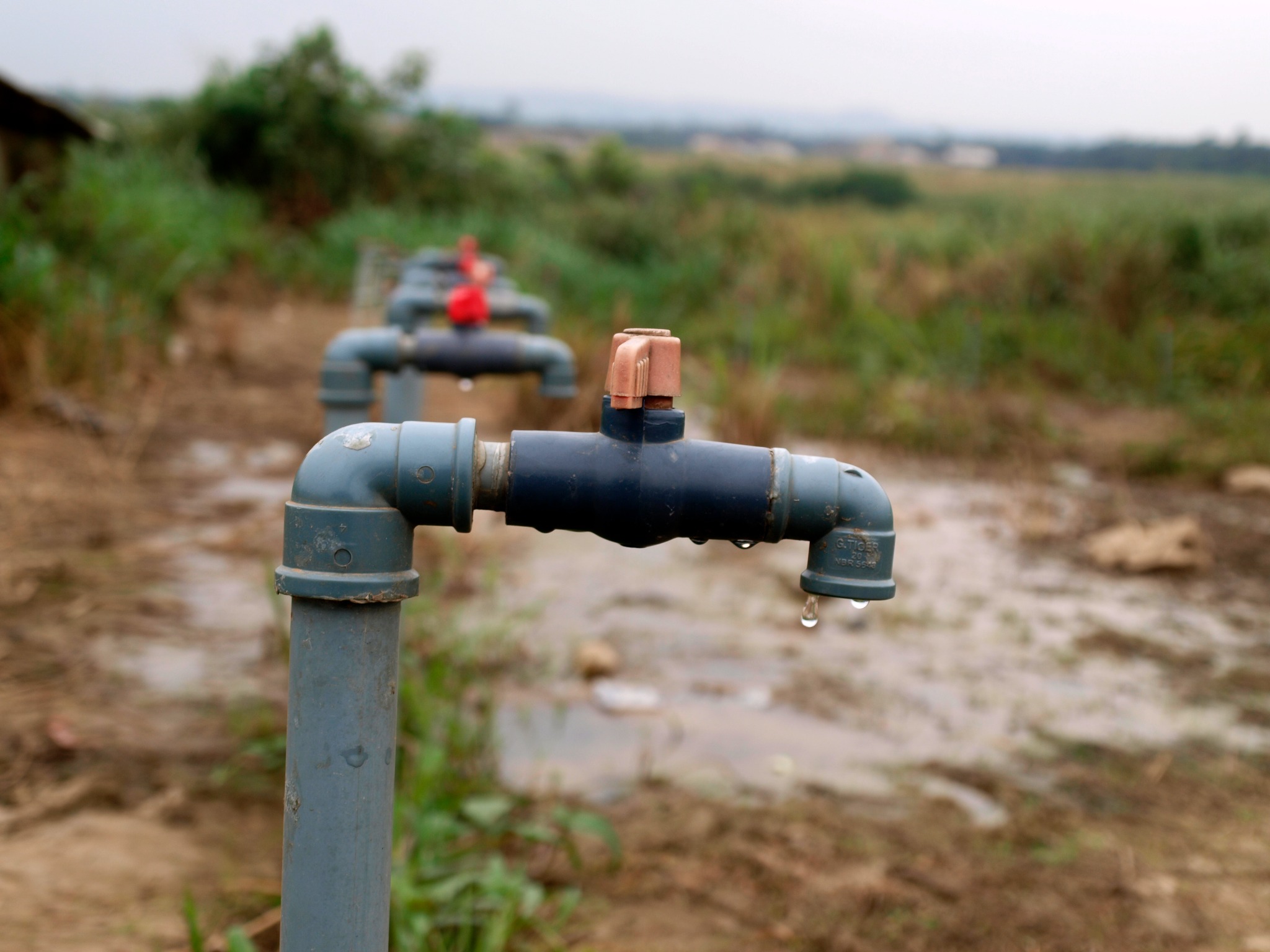 A Thirst Waiting To Be Named